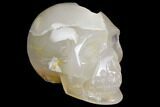Polished Agate Skull with Druzy Quartz Crystal Pocket #148089-2